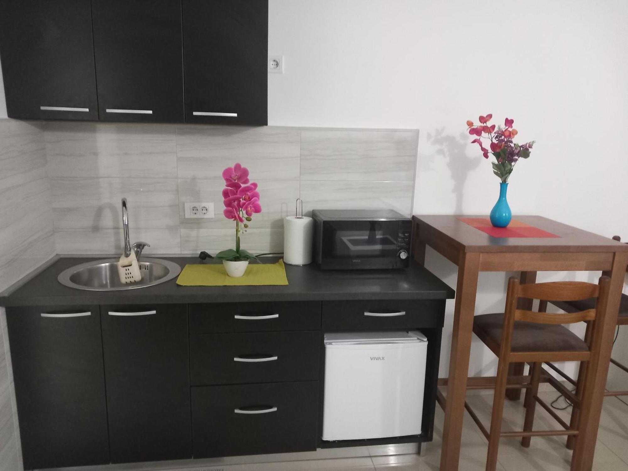 Apartman Savic バール エクステリア 写真